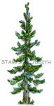 O-112 Evergreen Tree